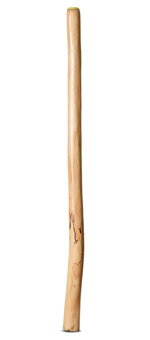 Medium Size Natural Finish Didgeridoo (TW1721)